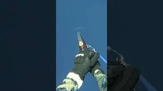 Worlds fastest Second Shot