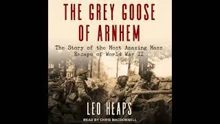 Grey Goose of Arnhem: The Story of the Most Amazing Mass Escape of World War II - Leo Heaps