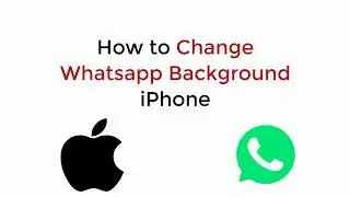 Как изменить фон WhatsApp на iPhone (2020)