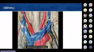 02) TUTORÍA DE ANATOMÍA DE MORFO 2 20260
