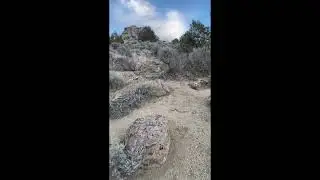 Desert Walk with om chants
