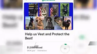 GoFundMe To Secure Ballistic Vests For Local Police K-9's