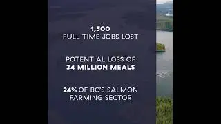 BCSFA Sea Lice Report - Discovery Islands