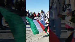 kuwait National Day #youtubeshorts