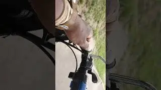 Ride Scoozy -Veego Semi fat (Daily Rider)