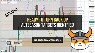$FLOKI Ready to Turn Back Up &mdash; Altseason Targets Identified