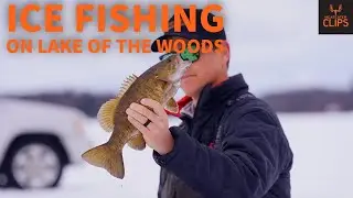 Как ловить рыбу на озере Вудс | С Джеем Сименсом | Видеоролики MeatEater
