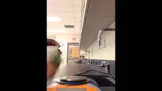 Chewing Gum Lab