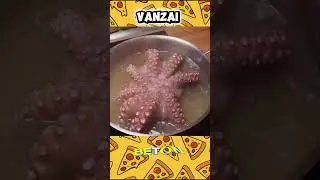 Vanzai готує восьминога #food #їжа #реки #рекомендації #смачно #vanzai