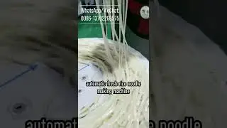 fresh rice noodle making machine