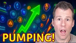 Crypto is PUMPING For These Reasons... But Will It Hold???