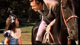 Gone With The Wind Project!!!!