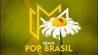 POP BR REMIX #1 | MOFO MIX - DJ SET 2025