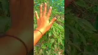 Creative hand videos 💛
