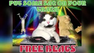 Magic Cat  - Free Beat Prod by sacjuggalo