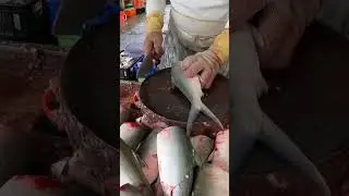 Quick clean the milkfish bone