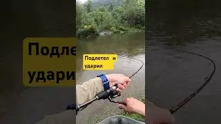 Что за удар! 😱💥 Голавль клюёт даже под дождём 🌧️