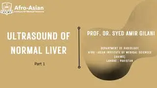 Ultrasound of Normal Liver | Prof. Gilani's Lectures
