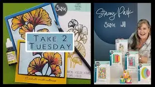 Класс 5 &mdash; Вторник: занятия Take 2, посвященные новым релизам Sizzix и новым чернилам Jacquard от Стейси Парк