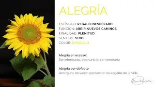 ¿Qué es la alegría? ¿Cuál es la finalidad de la emoción de la alegría?