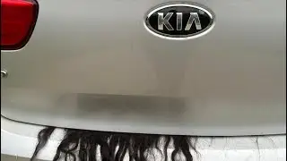 Wig passenger..