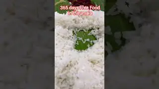 365 days free food in thirumala vengamamba annaprasadham satram #shortsfeed #thirumala #thirupathi