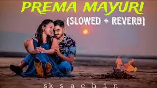 Prema mayuri ( slowed + reverb ) odia song | mantu chhuria | aseema panda |#odialofisong