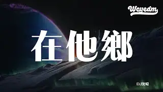 DJ沈念 - 在他乡 「想起离别她带泪的脸庞」【動態歌詞/pīn yīn gē cí】 #DJ沈念 #在他乡 #動態歌詞 #LyricsVideo