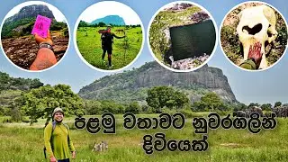 අලි ගහන කැලේ මැදින් සද්දාතිස්ස රජුගේ ඉතිහාසය සොයා..#nuwaragala #camping #elephant #travel #trending