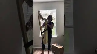 Beautiful Golden Harpy Harp: First time trying with amp!
