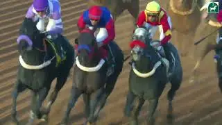 الشوط الرابع للحفل 63 بموسم سباقات الرياض
