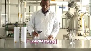 Analisis Sensorial de vinos