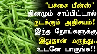 பச்சை பீன்ஸ் மருத்துவ நன்மைகள்! | Beans Health Benefits in Tamil| Health Tips in Tamil