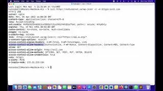 CORS Exploit