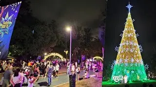 Световое шоу на самой большой рождественской елке в парке Ибирапуэра 2025, Сан-Паулу, Бразилия