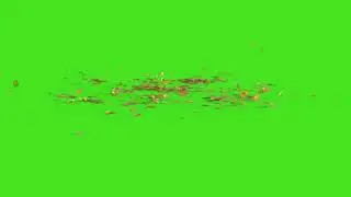 Ground Leaves on Green screen video | 4K Falling Leaves Green Screen | chroma key green screen video