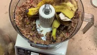 The Flies Are Gone + Experimenting with Puréed Food Scraps | A Worm Farmer's Diary