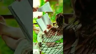 😘book lover 💞whatsapp status❤️💞