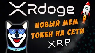 XRDoge на сети XRP - как купить криптовалюту