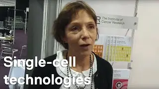 NCRI 2018: Professor Clare Isacke on single-cell technologies