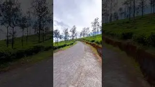 #hatty #tamilnadu #travel #ootytour #unexploredworld #nature #mountains #bikeride #bikelife #trip