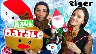 FLYING TIGER HAUL TIGER!! NATALE 2017 // SalvoeVale