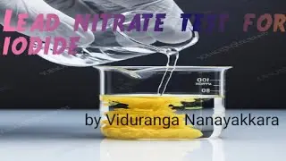 Amazing golden Rain Experiment 🧪