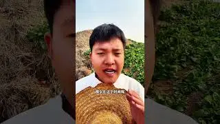 菜地遇到冷空氣，該怎麼辦呢？#種菜小技巧 #種植 #三農 #農業種植 #分享農業知識幫農民增產增收