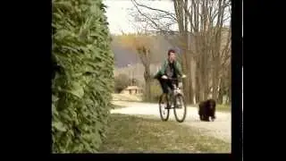WoOfit - Ad