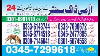 Army Dog Center Lahore 