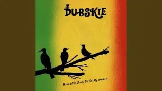 Three Little Birds Sat on My Window