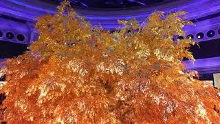 Tree of Prosperity Show, Wynn Macau