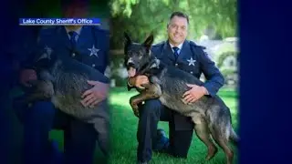 Dax, Lake Co. K-9, nabs suspect in home invasion