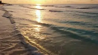 Fresh Tropical Beach Chill EDM Radio &ndash; Deep House Mix for Relax and Focus 🏝️💫